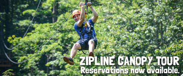 Bristol Canopy Tour