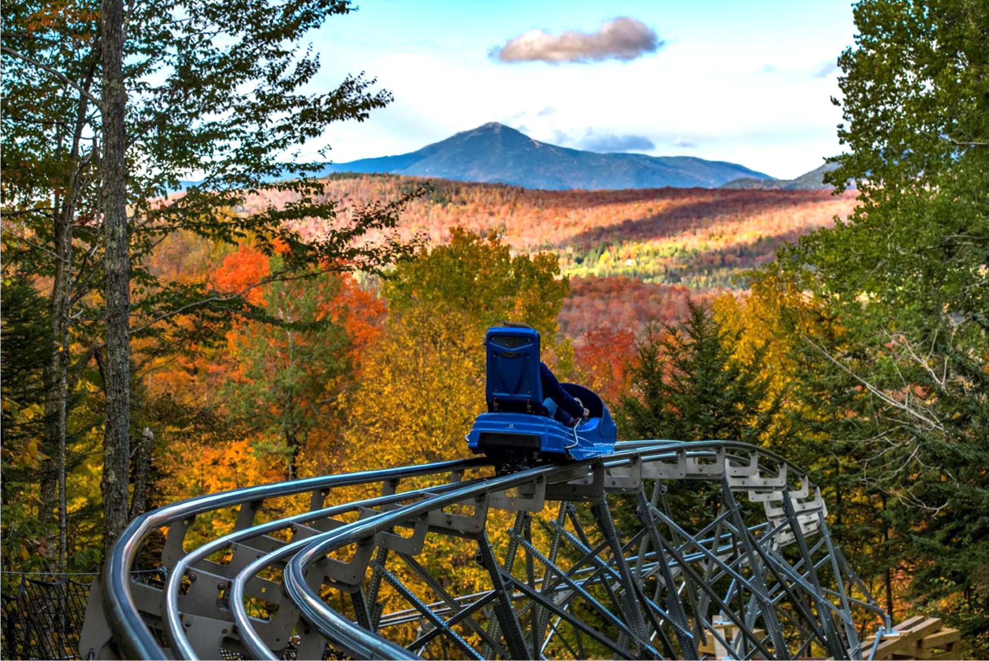 Cliffside Mountain Coaster