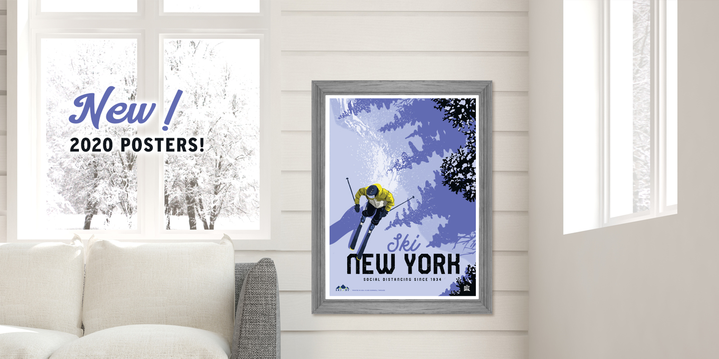 2020 Ski Poster