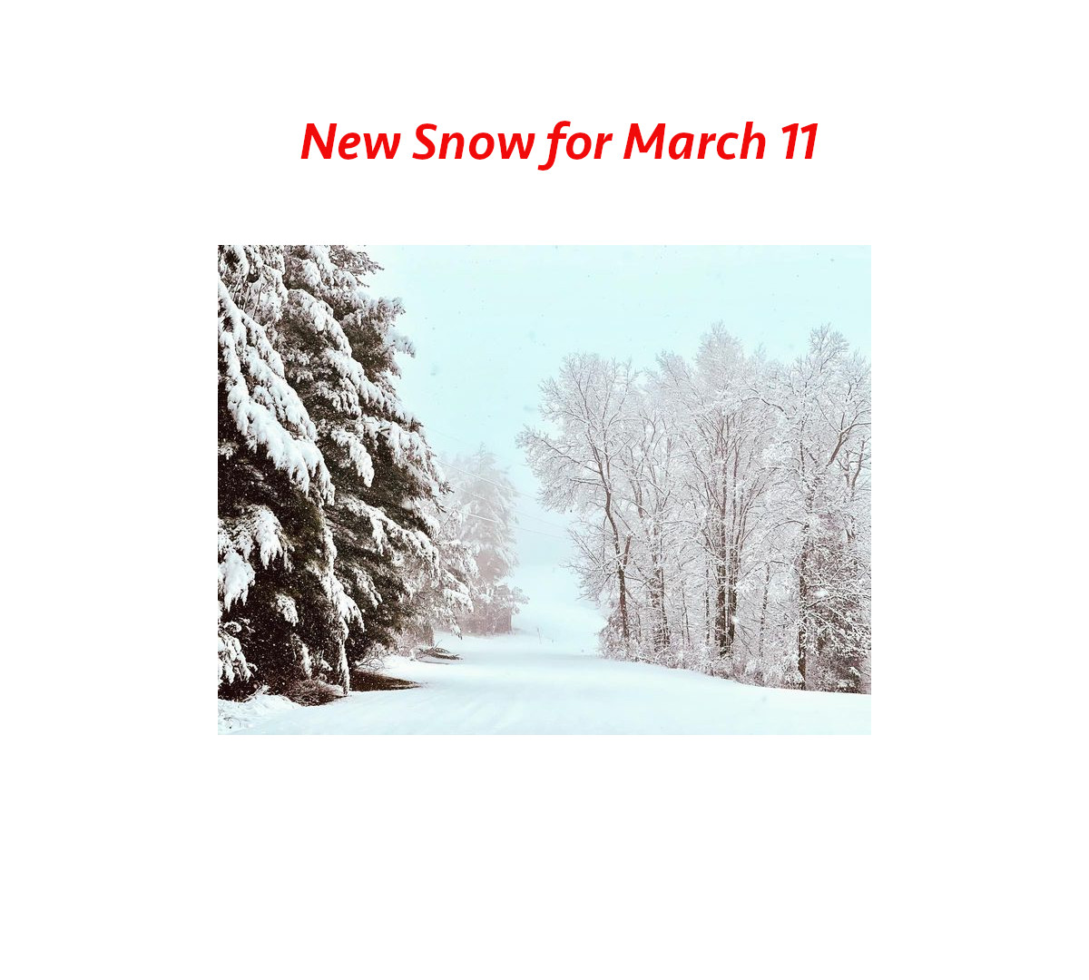 New Snow for March 11