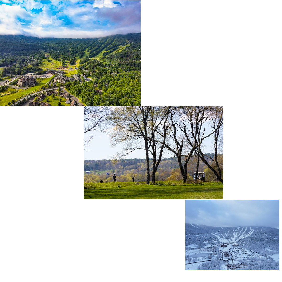 Windham Collage
