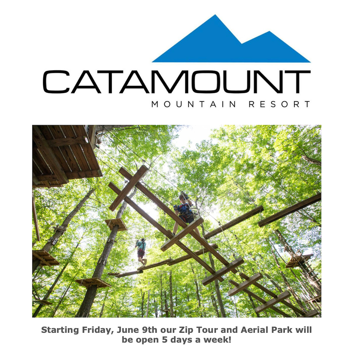 Catamount logo and people on ropes course