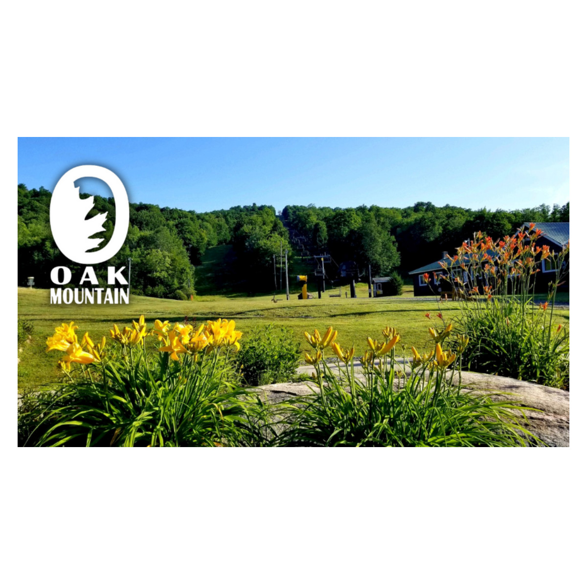 Summer at Oak Mountain
