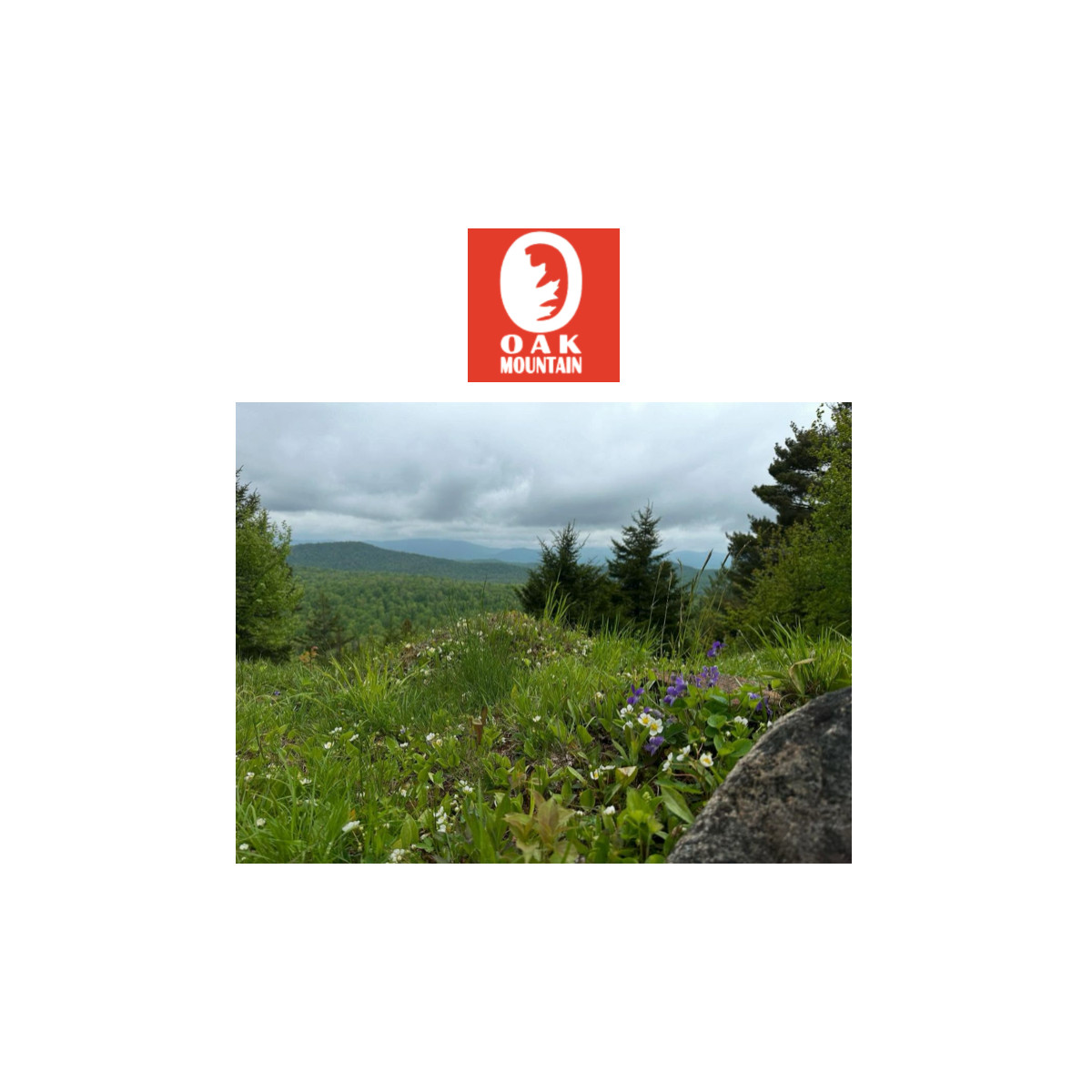 Oak Mountain Summer View