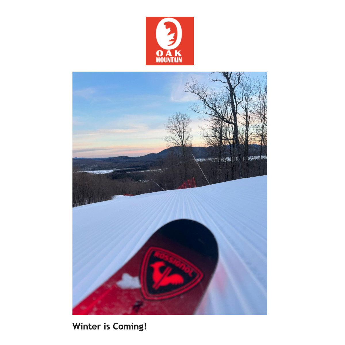 Oak Mountain Logo and ski