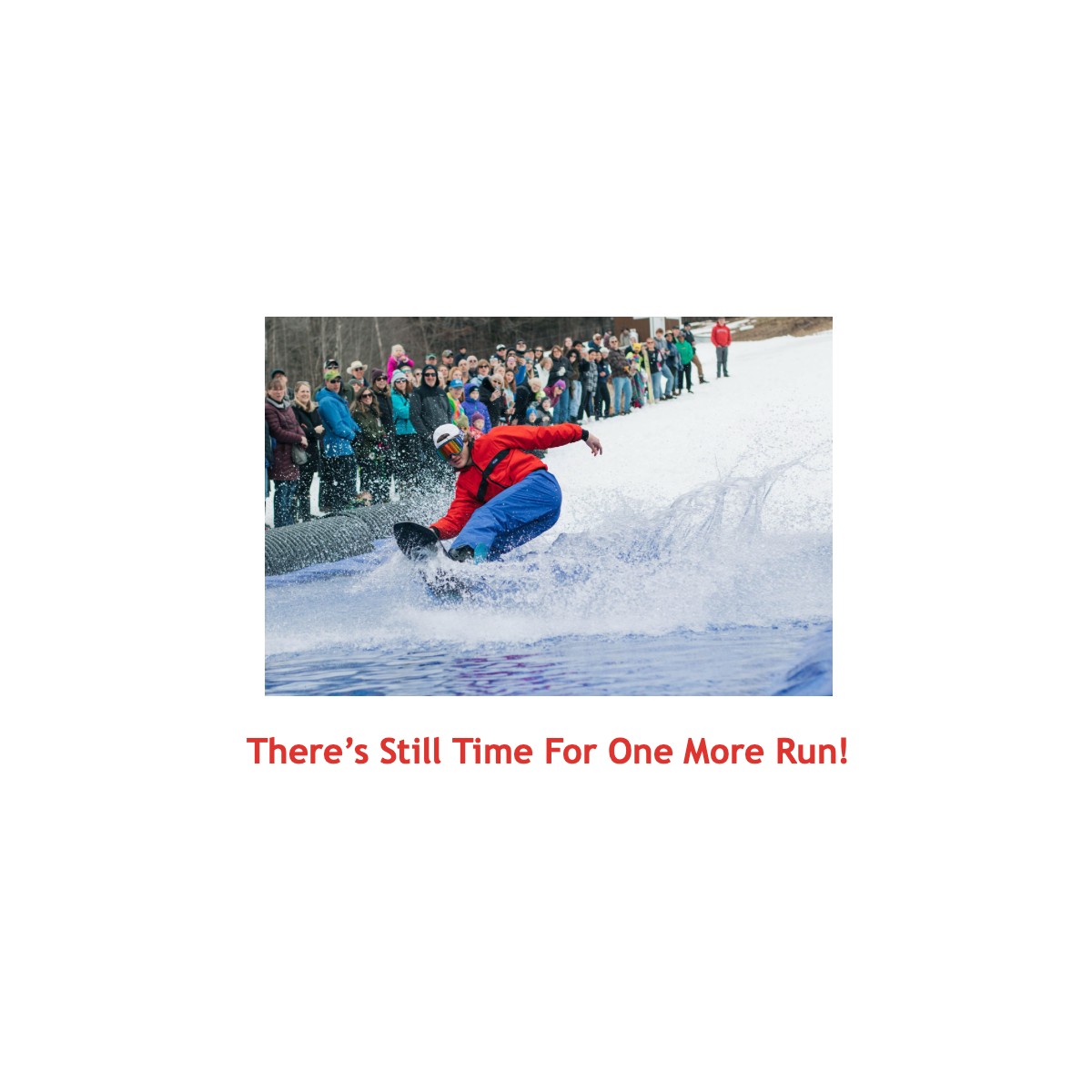 Oak Mountain Pond Skimmer