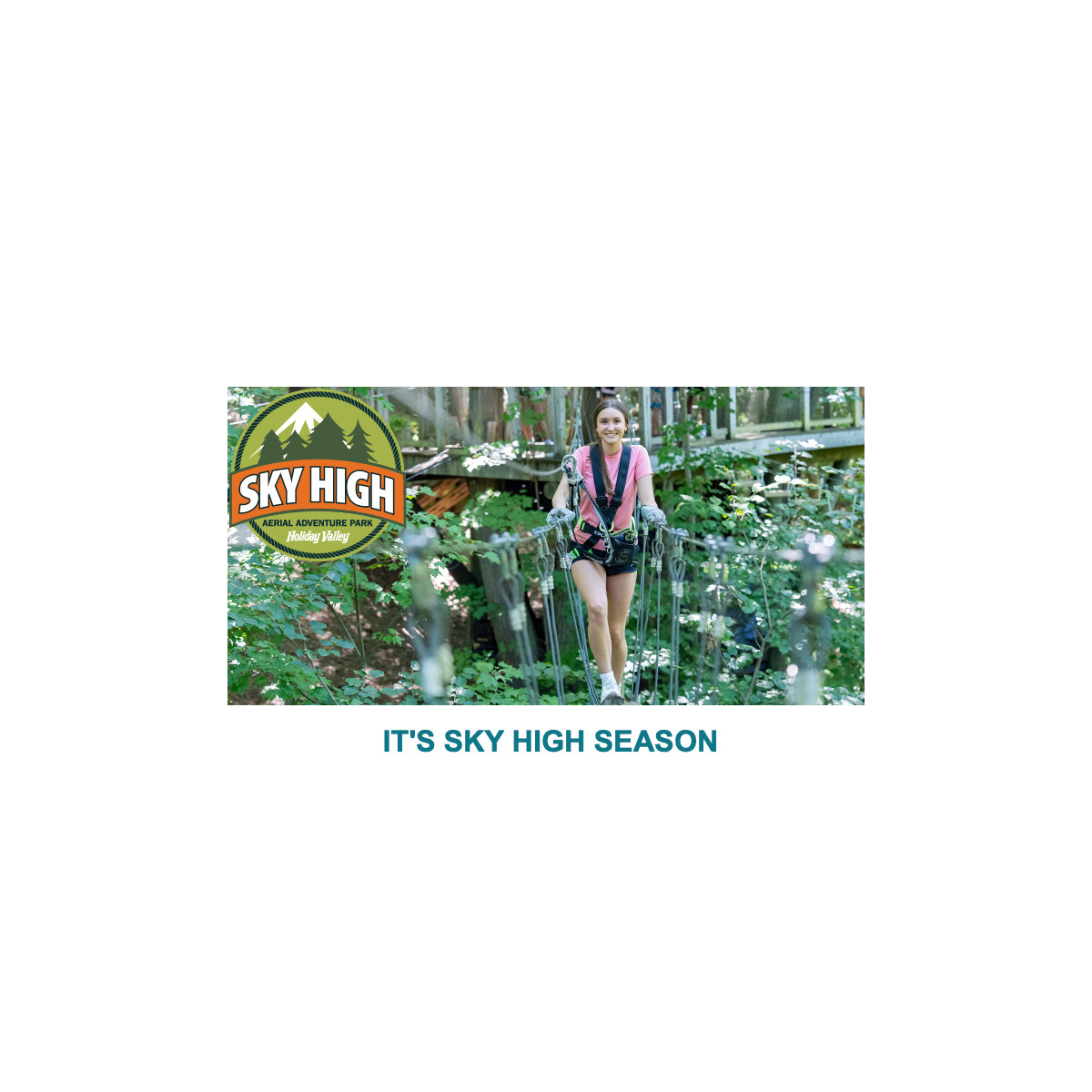Skyhigh Aerial Adventure Park