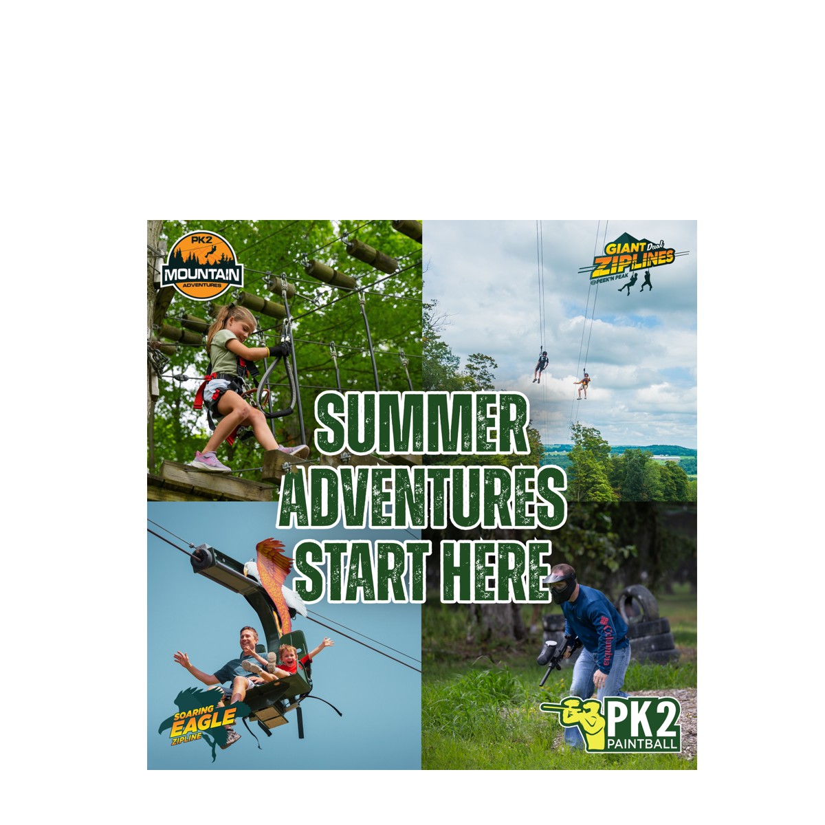 Summer at PNP