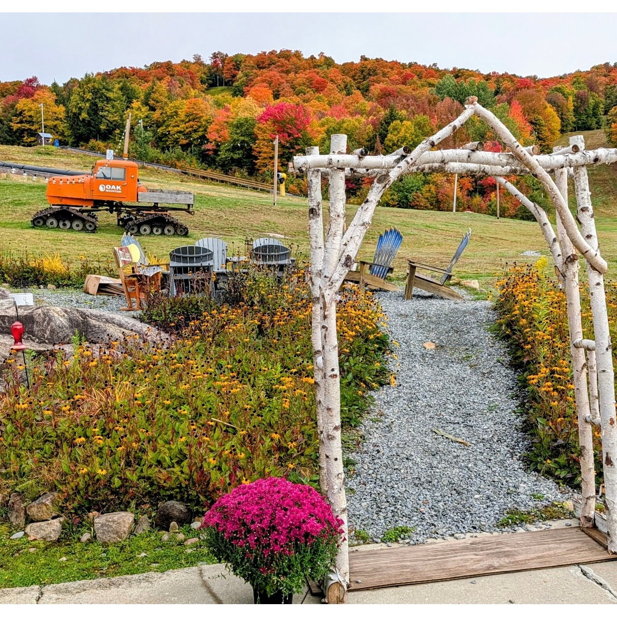 Fall Colors