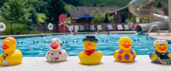 Rubber Ducks