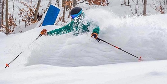 Holiday Valley Skier