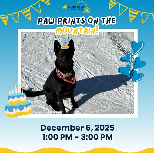 Paw Prints on the Mountain