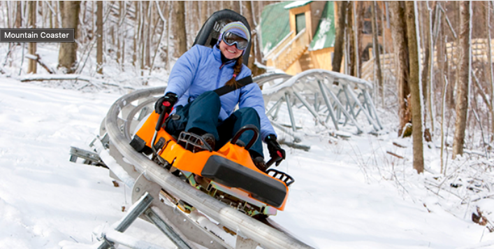 Winter Coaster Rider