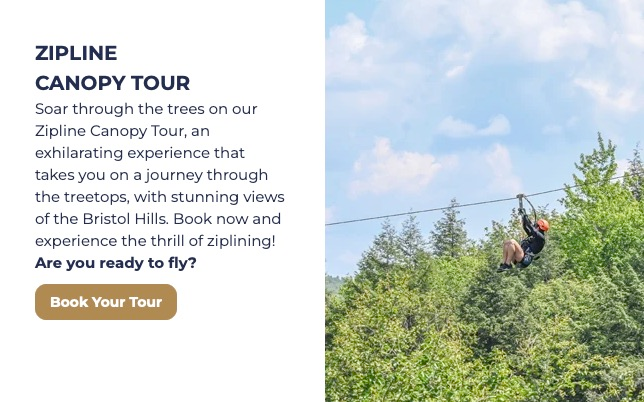 Book Your Tour