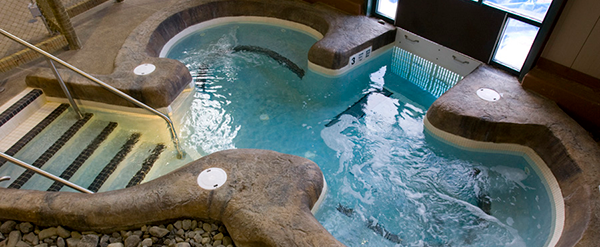 Waterfalls Spa