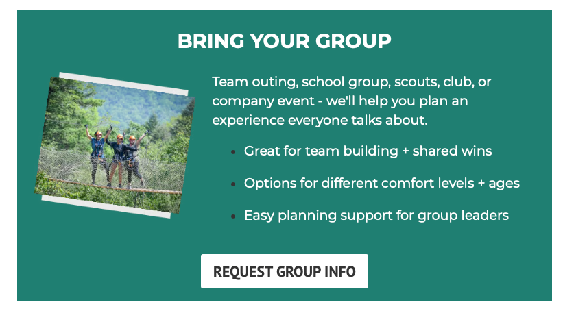 Groups
