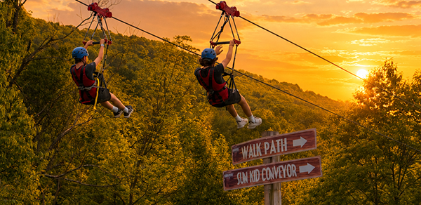 Zip Lines