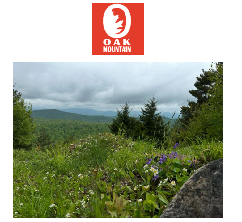 Oak Mountain Summer View