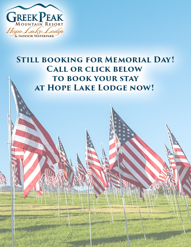 Memorial Day Flags
