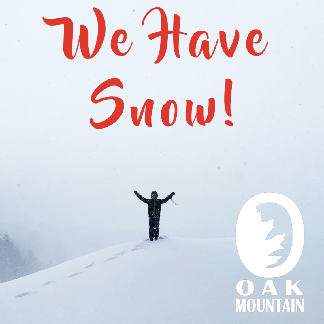 We Have Snow graphic with child on snowpile