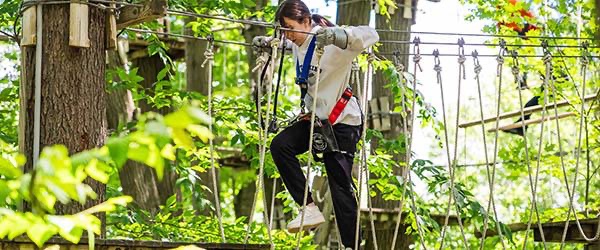 Sky High Adventure Park