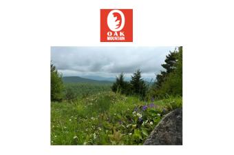 Oak Mountain Summer View