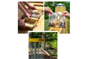 Gem Mining and Disc Golf