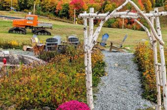 Fall Colors